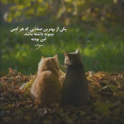 آهنگ ای وای ای وای از اون چشمات ببین آخه چه کاری دستم داد