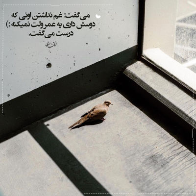 آهنگ هنوز اسمت گردنمه بوی عطرت رو تنمه