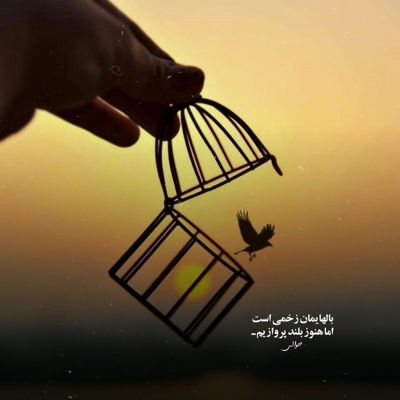 آهنگ قفس شدم که دورتو بگیرم