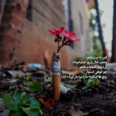 آهنگ دلت تنگ میشه بیا پهلو خودم