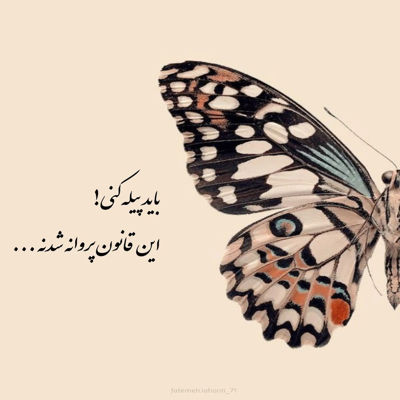 آهنگ تورو من تو کجای دلم بذارم خوش به حالت شه