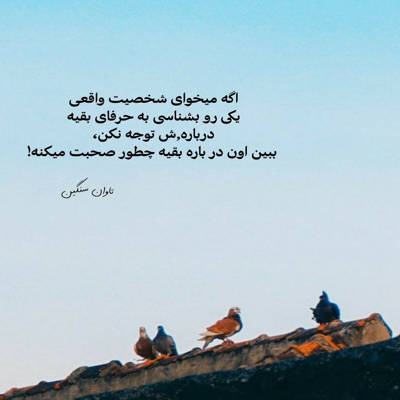 آهنگ ساقی بیا که عشق ندا میکند بلند رضا بهرام