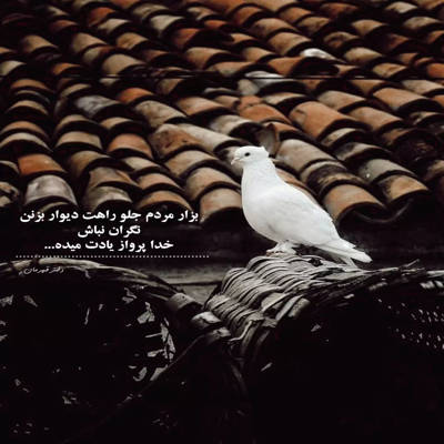 آهنگ من باید میرفتم با قطاری که برام محسن چاوشی