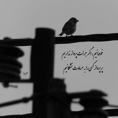 آهنگ من دیگه دلو به تو نمیدم نمیدم