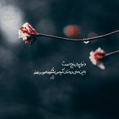 آهنگ فرشته ی قشنگ من ستاره ی هفت آسمونم