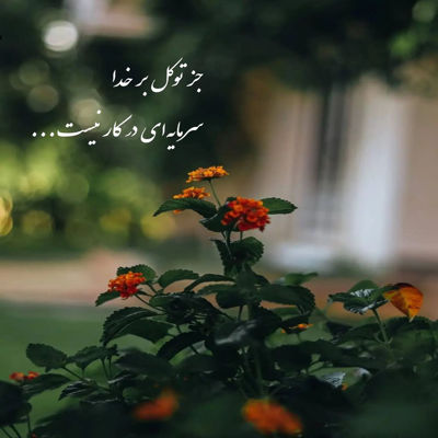 آهنگ شدی آرامشم تو بی آرایشم مثل ماهی ها