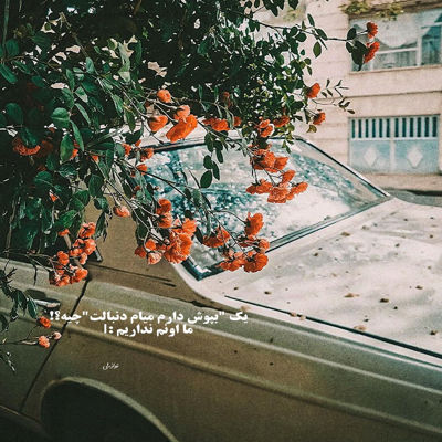 آهنگ عشق مگه عطر که بپره عشق بیا صدا قلبمو ‌بشنوش