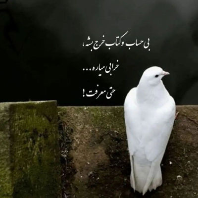 آهنگ سیل چشات کردم داغونت شدم لیلی