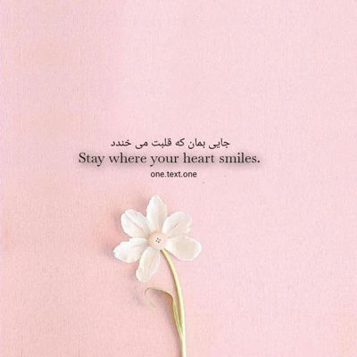 آهنگ دیدی آخر جای تو عکسات همدم من شد