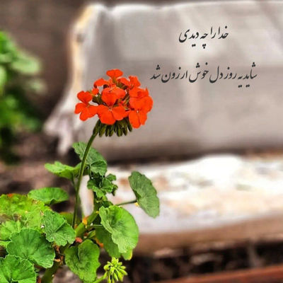 آهنگ مثل چشمات نمیاد نفس نفس نفس