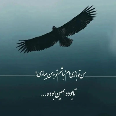 آهنگ برات مهم نبود میشم بری تنها