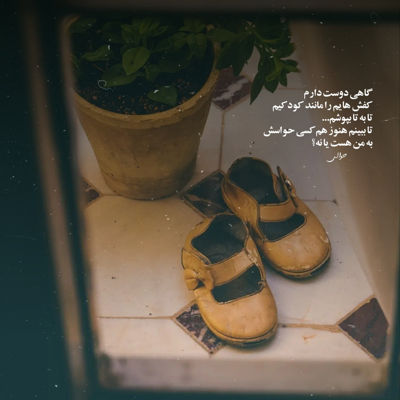 آهنگ گل من عروس شدی چه زود رفتی از پیشم