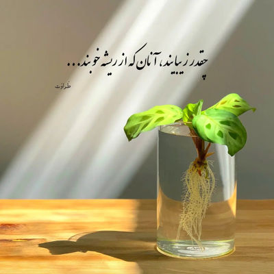 آهنگ حالم خوب شه قول میدم شهرو شیرینی میدم