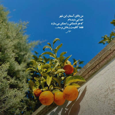 آهنگ شاید نمیدونی بی عشق تو میمیرم