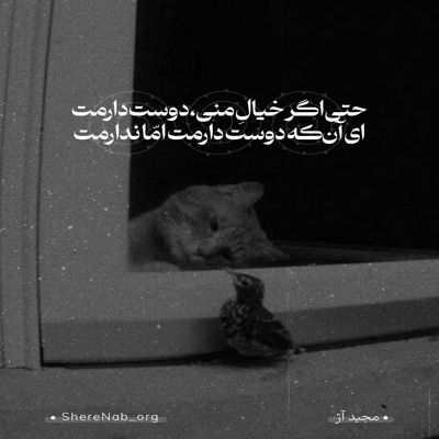 آهنگ میزنه سرم ژیب ژاب کنم