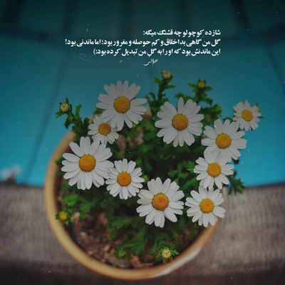 آهنگ تو که میدونستی این دل بی قراره