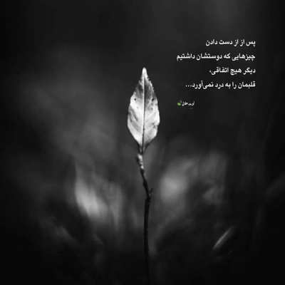 آهنگ یه روزی با تو ستاره رو چیدم مرتضی پاشایی