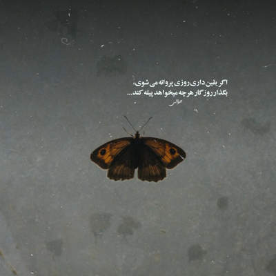 آهنگ گل منو اذیت نکنین چشاشو تر نکنید