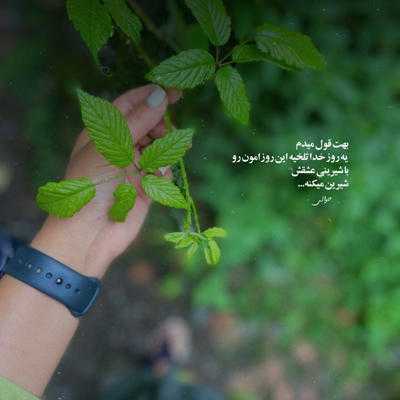 آهنگ یکی مثل من حیفه برای تو برو ببین کی مثل منه