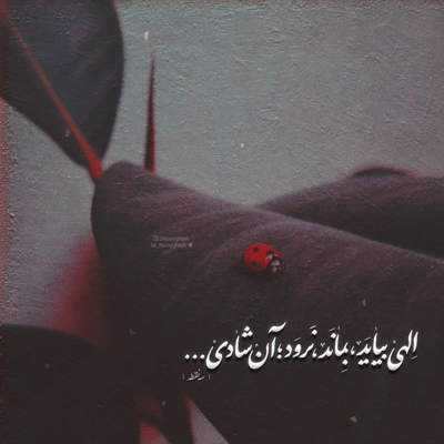 آهنگ از ریشه چیدی هر چی کاشتم