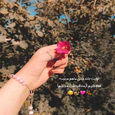 آهنگ حالا انار انار نوبر مو