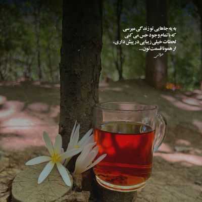 آهنگ یلدا یلدا بیا و خوش کن حال من را