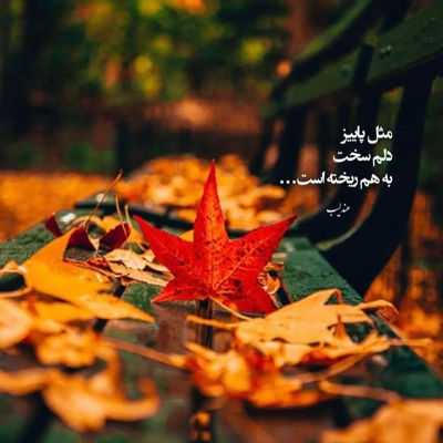 آهنگ عشق من جونم با تو آرومم