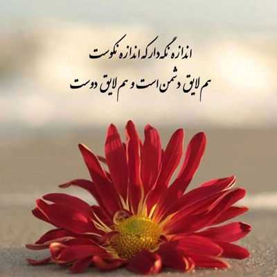 آهنگ مهره مالکیتو زدی به قلبم ازم دوربشی میمیرم