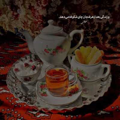 آهنگ تو چله ی من امسال کدوم شعر و کدوم فال