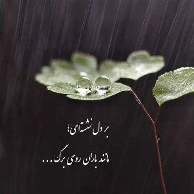 آهنگ شنیدم رفتی و یاری گرفتی