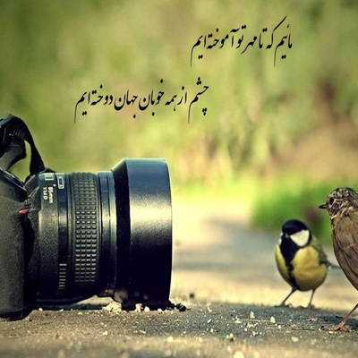 آهنگ چطور تونستی که دل بکنی بزاری قلبمو روی زمین