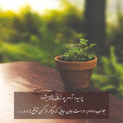 آهنگ بیم است که سودایت دیوانه کند ما را