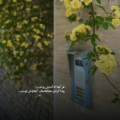 آهنگ دلم خوش بود یه روز بازم میبینمت توی این کوچه ها