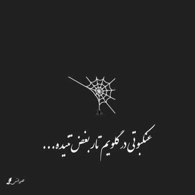 آهنگ خیال نکن که بی خیال از تو و روزگارتم