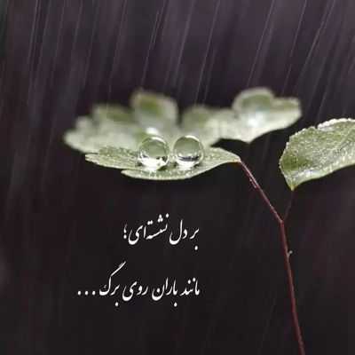 آهنگ مردم از این غم که هنوز واسه تو میمیرم