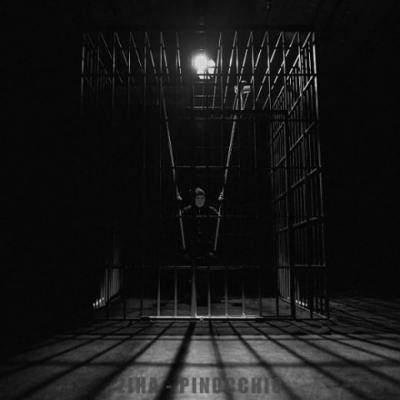 دانلود آهنگ زیها پینوکیو